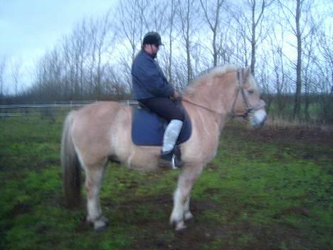 Fjordhest Charlie...Død.. - Her tager Jeanette en tur på Charlie billede 3