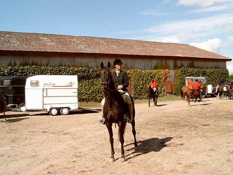 Traver Girl Of Beauty"Afdød" - Her er vi ved at varme op til jagtens start... billede 8