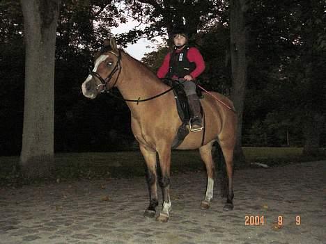 Anden særlig race samson - samson og winnie billede 9