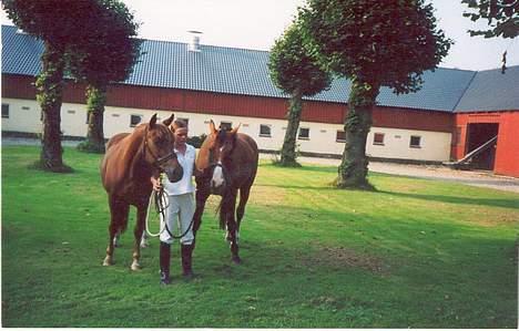 Anden særlig race Cherie - her vi lige kommet hjem fra ringridning... puhh det var en lang og hård dag... billede 6