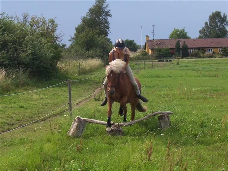 Islænder Tyra Fra Stårup  - I feel free whit you baby! <3 (2. august, springning i rebgrime) billede 2