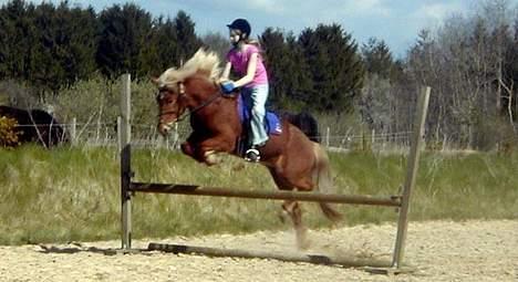 Islænder Tyra Fra Stårup  - You mean everything to me. <3 billede 5