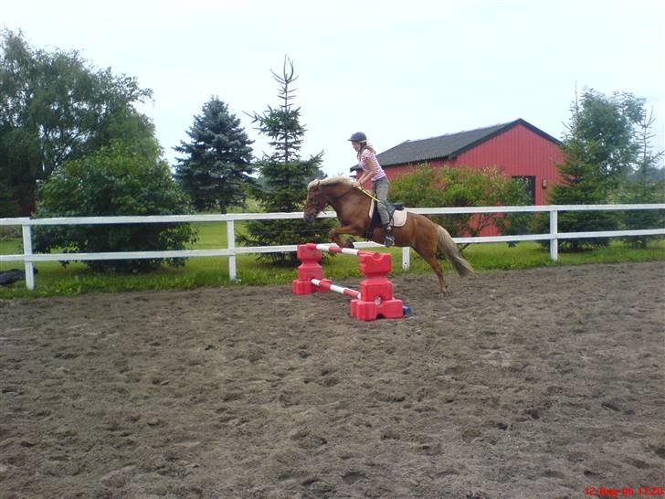 Islænder Tyra Fra Stårup  - I can do everything - as long, it´s whit you.. billede 4