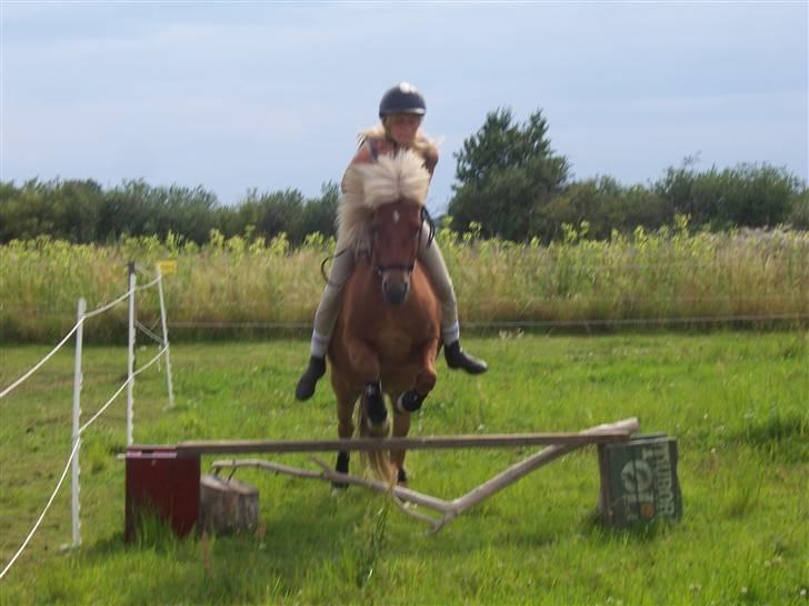 Islænder Tyra Fra Stårup  - Because we can do, whatever we want to ! (2. august, springning i rebgrime) billede 6