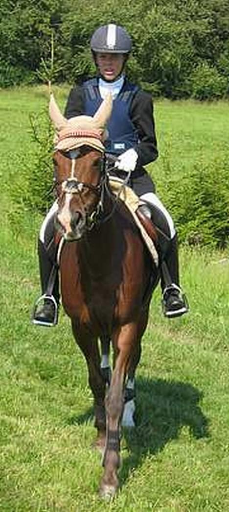 Dansk Varmblod Senta - Mig og Sense hvor vi blev nr. 3 til distrikts mesterskaberne:) billede 2