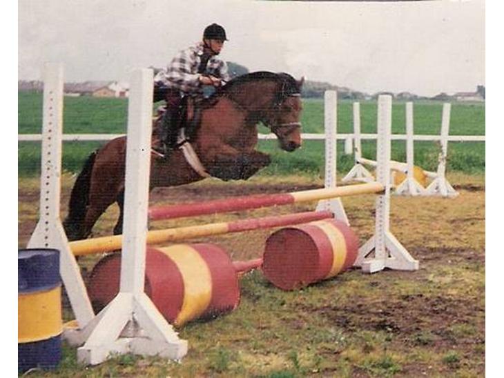 {{currentPhoto.altText}} billede {{currentPhoto.number}}