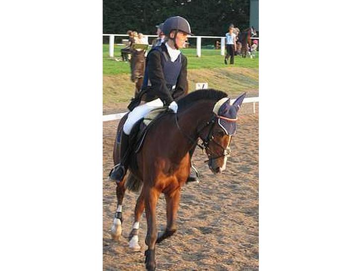 {{currentPhoto.altText}} billede {{currentPhoto.number}}