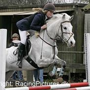Anden særlig race Lucky Lady (solgt)
