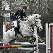 Anden særlig race Lucky Lady (solgt)