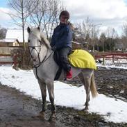 Anden særlig race Lucky Lady (solgt)