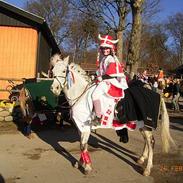 Anden særlig race Lucky Lady (solgt)