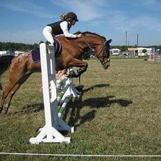 Appaloosa Rebel Bounty   .