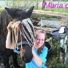 Anden særlig race KLAUS (død)