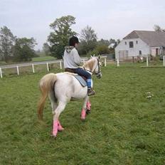 Anden særlig race Æblehavens: Zippe (DØD)