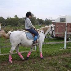 Anden særlig race Æblehavens: Zippe (DØD)
