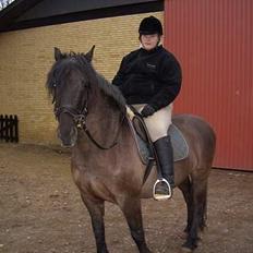 Anden særlig race Lukas