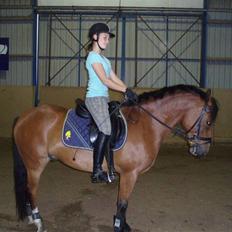 Anden særlig race Supér**SOLGT**