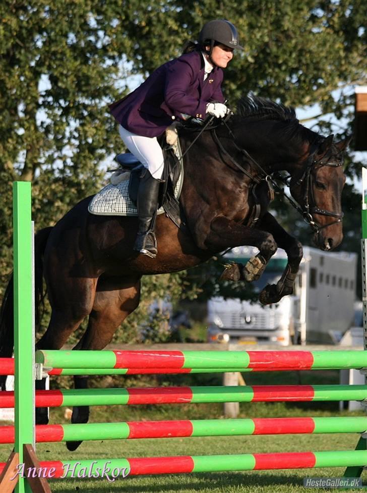 Trakehner Goldenas ( SOLGT)- R.I.P. - Distriksstævne på Kallehavegaard..Fotograf: Anne Halskov billede 5