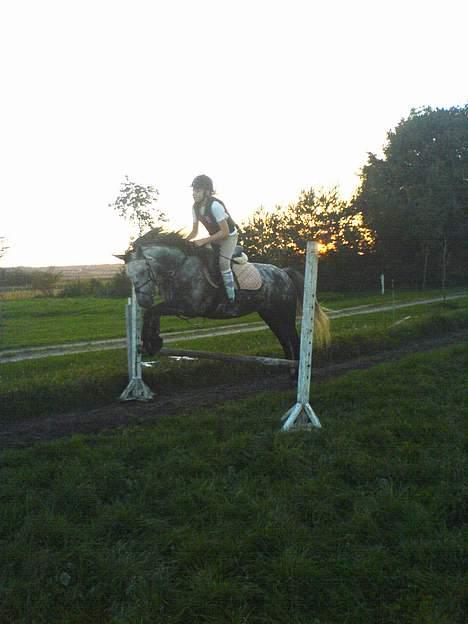 Anden særlig race Tulle - Mig og Tulle 65 cm billede 19