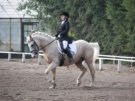Anden særlig race Valdemar af Lillevang - Fynsmesterskab i Anderup (Junior) 16/9-06 LA3 Foto: Far :) billede 7