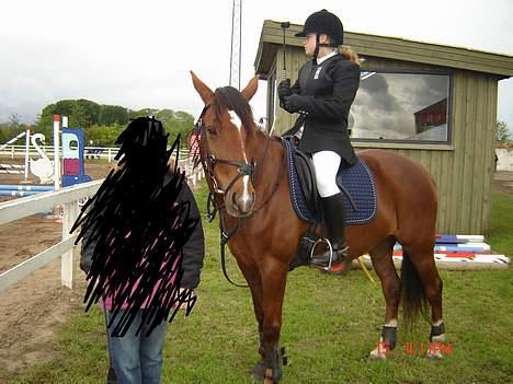 Anden særlig race Velour  - Velour og jeg til stæve (sidste stævne) i JMR 3-4 juni, lige før vi skulle springe LC, fik en bom og en 4 plads ..  billede 15