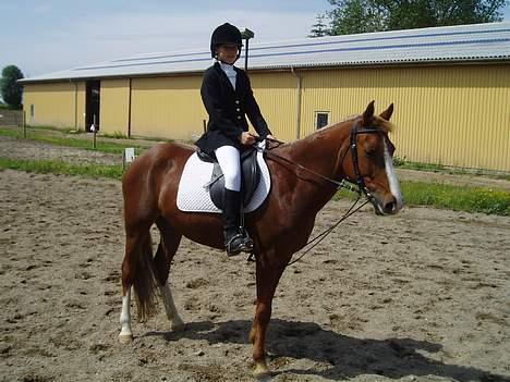 Anden særlig race Santos - Et af vores 9 stævner ! billede 2