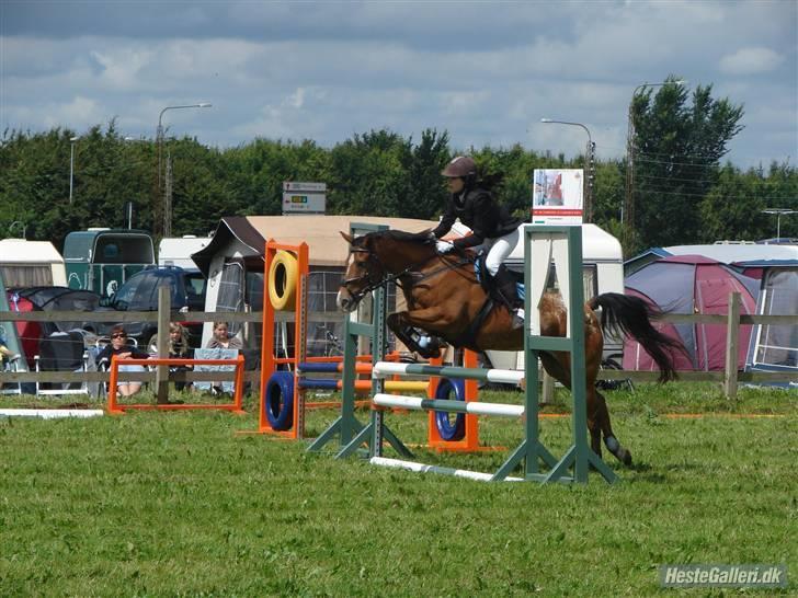 Appaloosa Rebel Bounty   . - hop pony! taget af anne stougaard billede 13