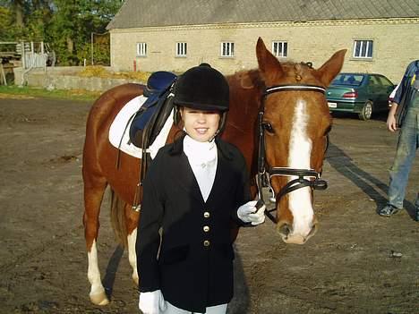 Anden særlig race Santos - Lad os få det overstået, jeg er træt billede 7