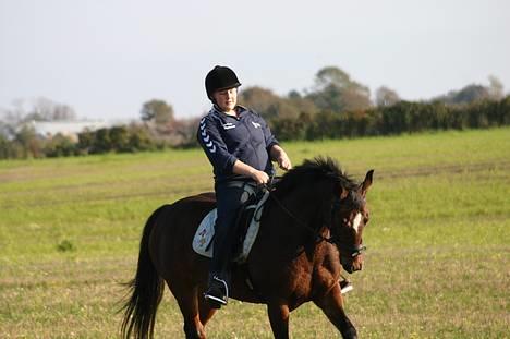 Anden særlig race Chagall [solgt] - se hvor fint jeg kan gå billede 5