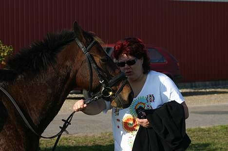 Anden særlig race Chagall [solgt] - det et min mor der holder ham... billede 10