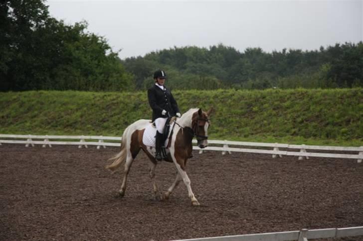 Anden særlig race Thiano - Distrekt stævne på VIR. LB1. red 60 % (første C stævne og første LB1 jeg var så stolt) billede 19