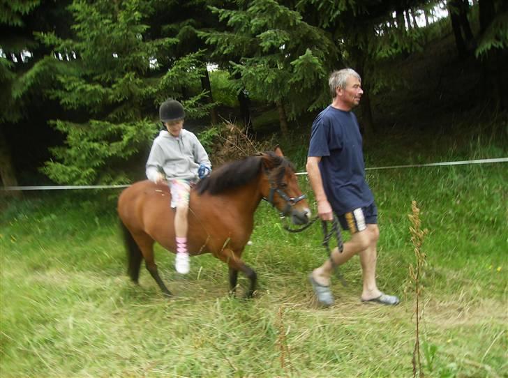 Dartmoor smut - på vej på sommergræs:-) billede 3