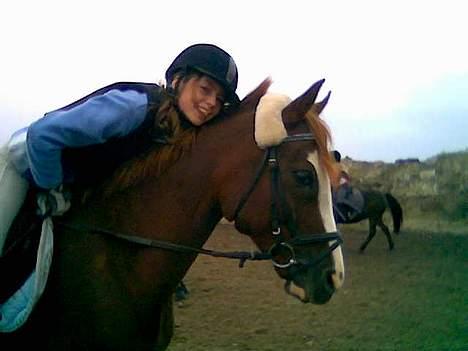 Anden særlig race Starlight <33 - Mig og min Elskede Pony <33 billede 13