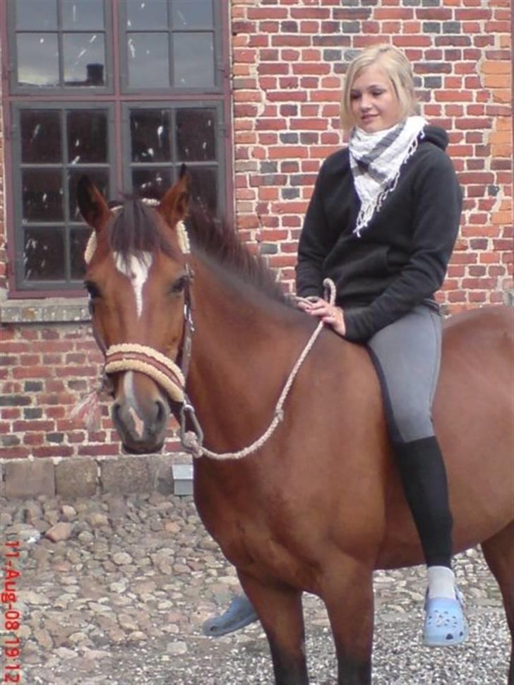 Tysk Sportspony - Damaris T - Musse og mig på Clausholm 2008 :) billede 3