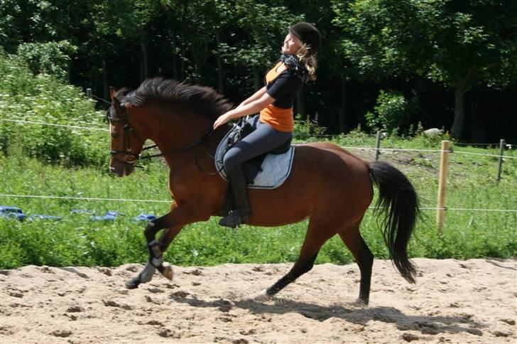 Tysk Sportspony - Damaris T - Musse og mig, 20-06-2009. Foto: Biller billede 4