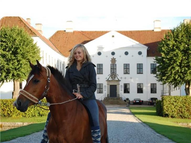 Tysk Sportspony - Damaris T - Musse, mig og slottet :D Foto: Kusine Sabine billede 17