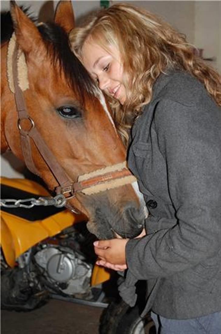 Tysk Sportspony - Damaris T - Musse und ich <´3 foto: Kusine Sabine billede 19