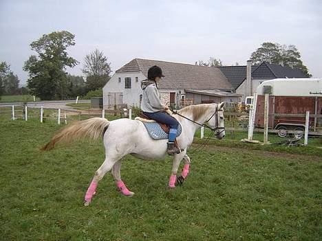 Anden særlig race Æblehavens: Zippe (DØD) billede 4