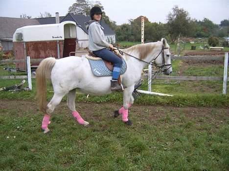 Anden særlig race Æblehavens: Zippe (DØD) billede 5