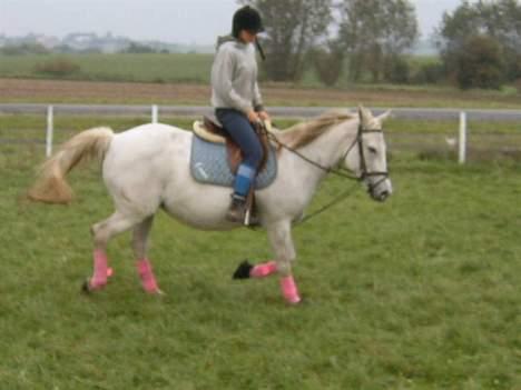 Anden særlig race Æblehavens: Zippe (DØD) billede 9