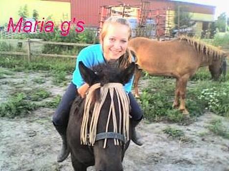 Anden særlig race KLAUS (død) - jeg sidder på ham billede 7