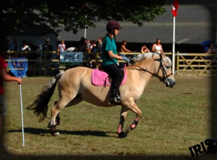 Fjordhest Iris - finalen i pony games på roskilde dyreskue 2008 billede 2