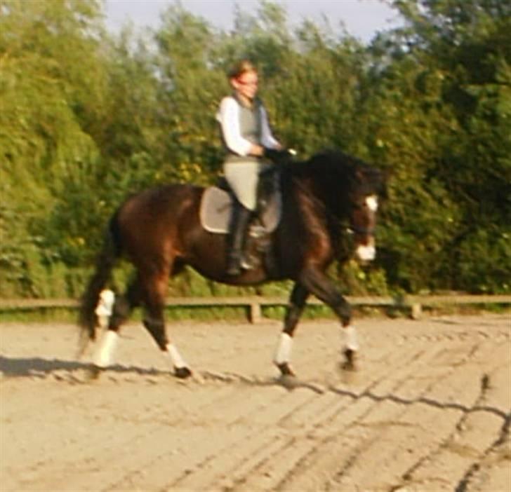 Oldenborg Light-Moon billede 1