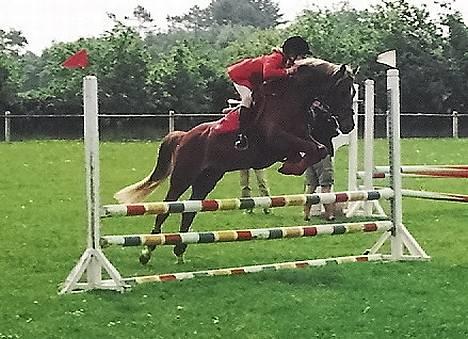 Tysk Sportspony Nørlunds Westpoint solgt - gammel spring billede fra derby i gjern. billede 15