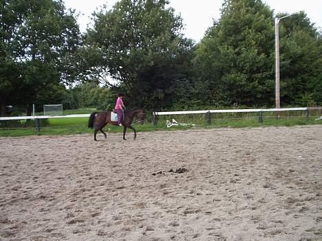 Traver Mitzy - SOLGT ! :'( - Så vi solgte dig :´( billede 6