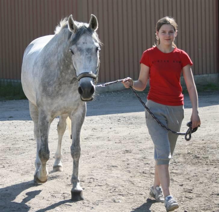 Anden særlig race Chanel <3 †Aflivet† - *NYT* Miig & Chanel billede 5