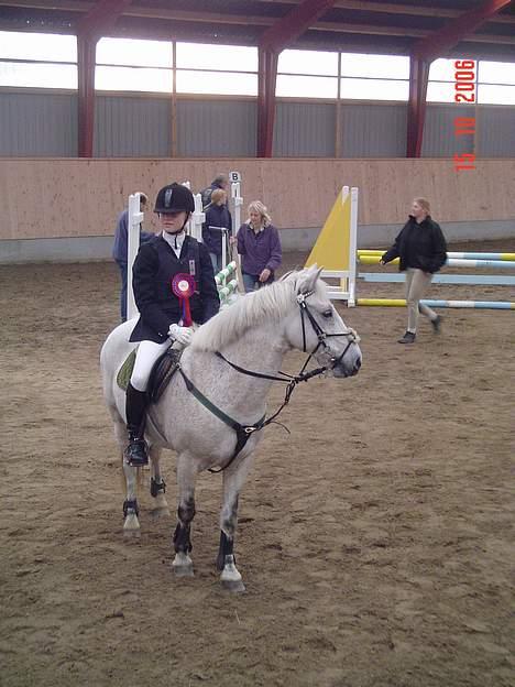 Anden særlig race IL TEMPO GIGANTE solgt billede 14