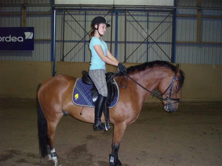 Anden særlig race Supér**SOLGT** - min´egen supér- d; billede 3