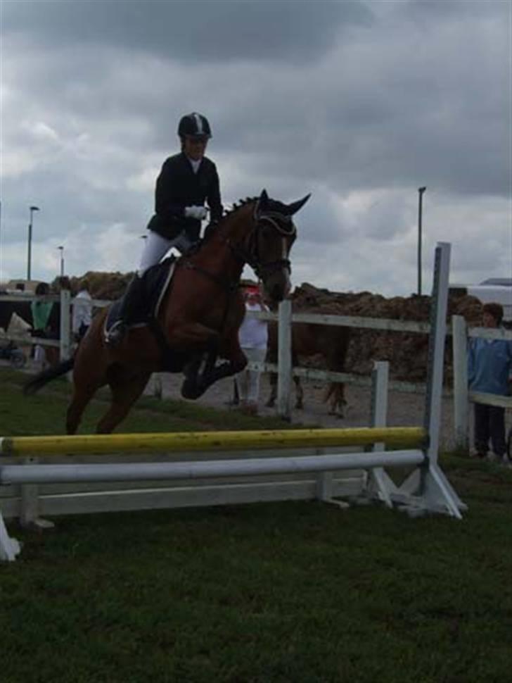 Anden særlig race Supér**SOLGT** - til stævne. lidt mørk ..  billede 9