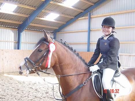 Anden særlig race Supér**SOLGT** - yees vi vandt . <3 .  billede 13